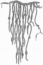 Knotted Cords from Meyers Konversationslexikon of 1888